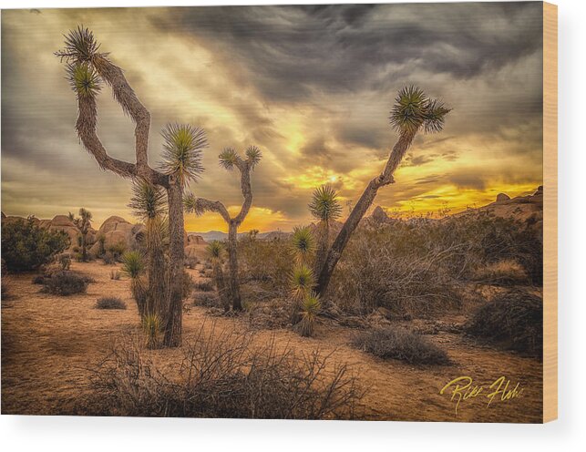 California Wood Print featuring the photograph Sunrise amid the Joshua Trees by Rikk Flohr