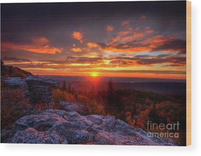 Sunrise Wood Print featuring the photograph Sunrise at Dolly Sods at Bear Rocks by Dan Friend