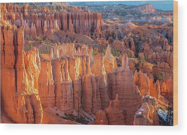 Bryce Canyon National Park Wood Print featuring the photograph Sunrise at Sunset Point by Jonathan Nguyen