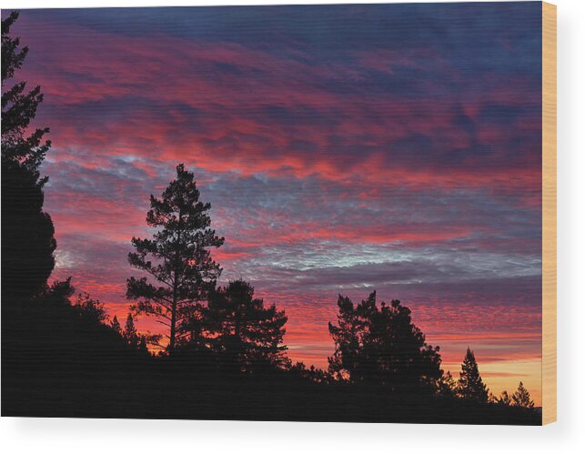 Sunrise Wood Print featuring the photograph Sunrise in Anchor Bay by Kathleen Bishop