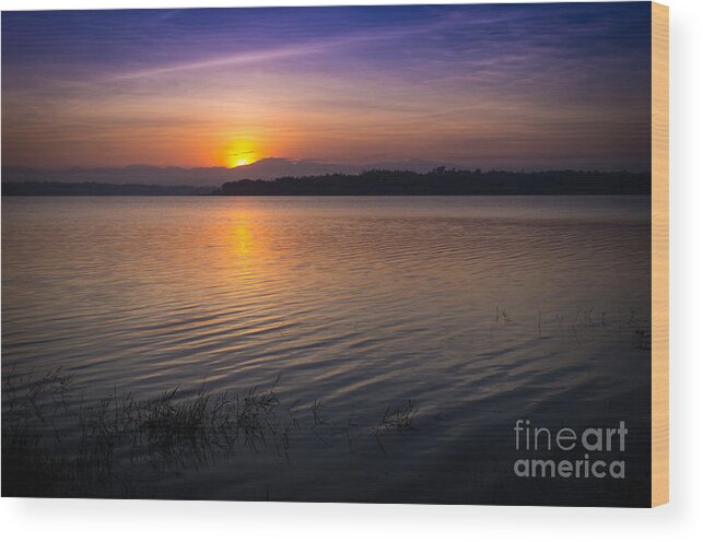 Sunrise Wood Print featuring the photograph Sunrise in Paoay Lake by Jonas Luis