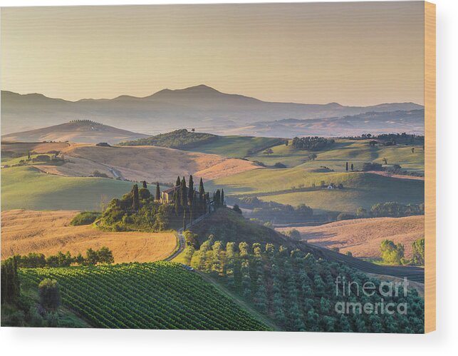 Agriculture Wood Print featuring the photograph Sunrise in Tuscany by JR Photography