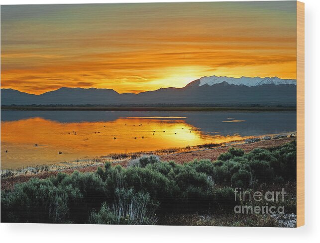 Great Salt Lake Wood Print featuring the photograph Sunrise on Antelope Island by Dennis Hammer