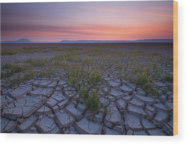 Landscape Wood Print featuring the photograph Sunrise on the Playa by Andrew Kumler