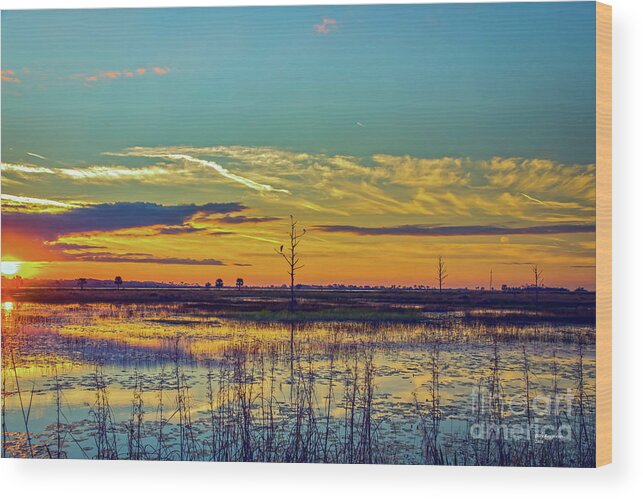 Bird Wood Print featuring the photograph Sunrise Over a Saint Marks National Wildlife Refuge Lagoon by DB Hayes