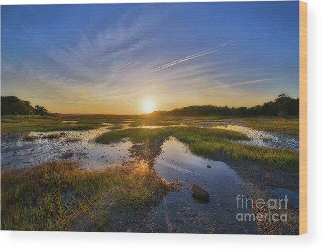 Sunrise Wood Print featuring the photograph Sunrise over the marsh by Michael Ver Sprill