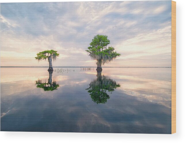 Crystal Yingling Wood Print featuring the photograph Sunrise Serenity by Ghostwinds Photography