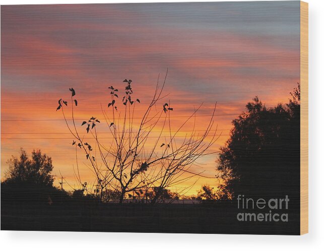 Sunrise Wood Print featuring the photograph Sunrise by Sheri Simmons