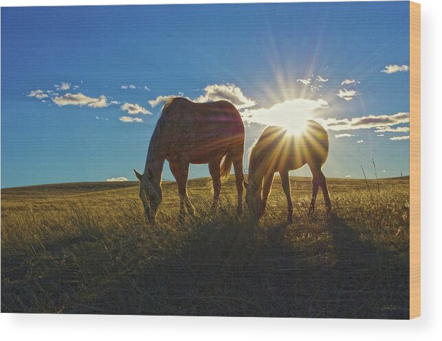 Horses Wood Print featuring the photograph Sunrise Splendor by Amanda Smith