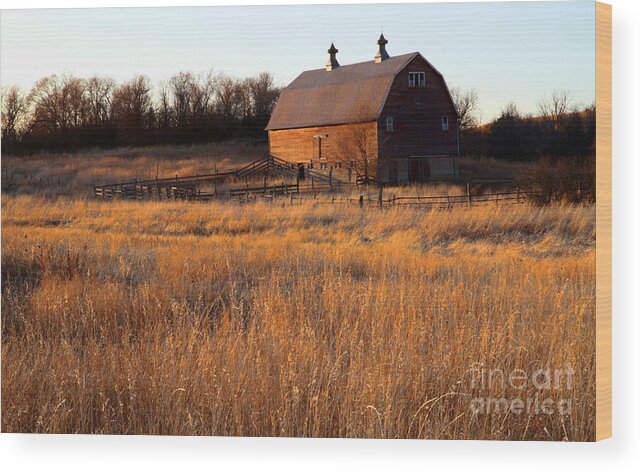North Dakota Wood Print featuring the photograph Sunset and Barn by Edward R Wisell