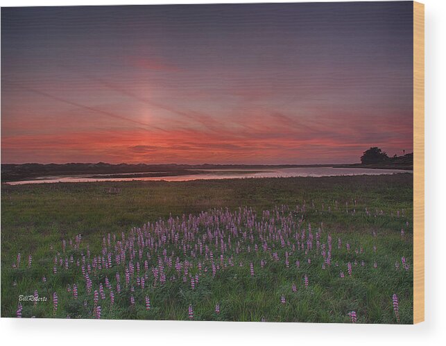 Central California Coast Wood Print featuring the photograph Sunset and Lupine by Bill Roberts