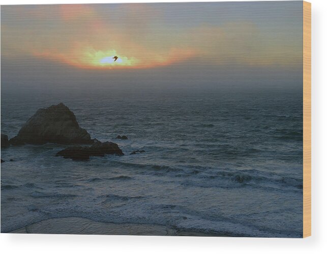 Bird Wood Print featuring the photograph Sunset with the bird by Dragan Kudjerski