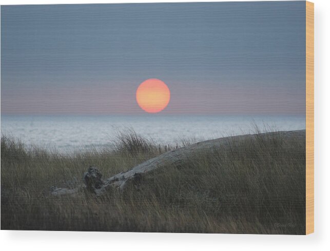 Sun Wood Print featuring the photograph Sunset at Halfmoon Bay by Deana Glenz