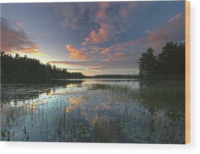 Somes Pond Wood Print featuring the photograph Sunset at Somes Pond by Juergen Roth