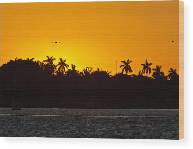 Intracostal Wood Print featuring the photograph Sunset at the Intracostal by Wolfgang Stocker