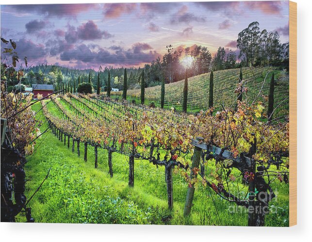 Napa Wood Print featuring the photograph Sunset at the Palmers by Jon Neidert