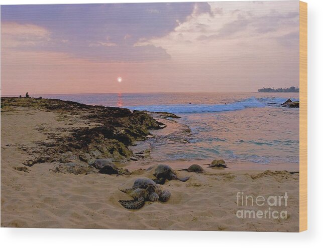 Makaha Wood Print featuring the photograph Sunset at Turtle Cove by Craig Wood