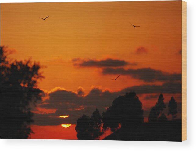 Sunset Wood Print featuring the photograph Sunset Birds by Jill Reger