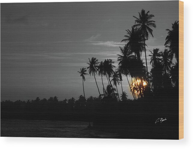 Sunset Wood Print featuring the photograph Sunset by Charlie Roman