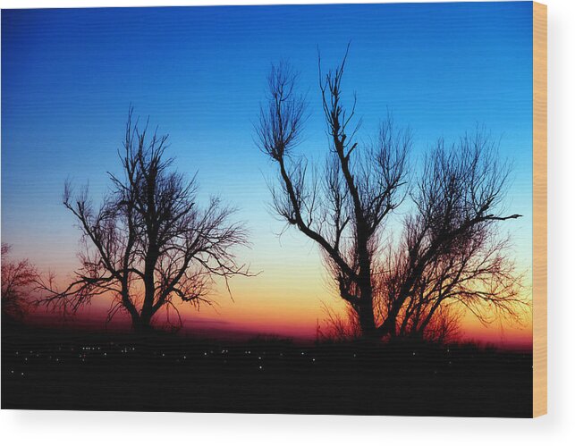Sunset Wood Print featuring the photograph Sunset in January IV by Toni Hopper