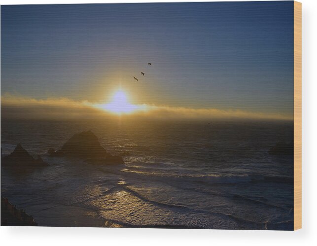 Photo Wood Print featuring the photograph Sunset in San Francisco by Dragan Kudjerski