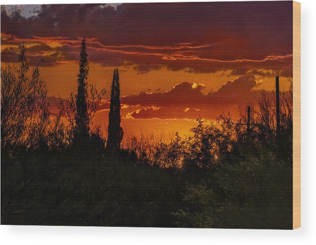 Mark Myhaver Wood Print featuring the photograph Sunset No.748 by Mark Myhaver