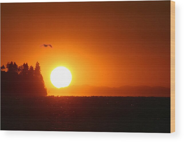  Sunset Wood Print featuring the photograph Sunset on Birch Bay by Julius Reque