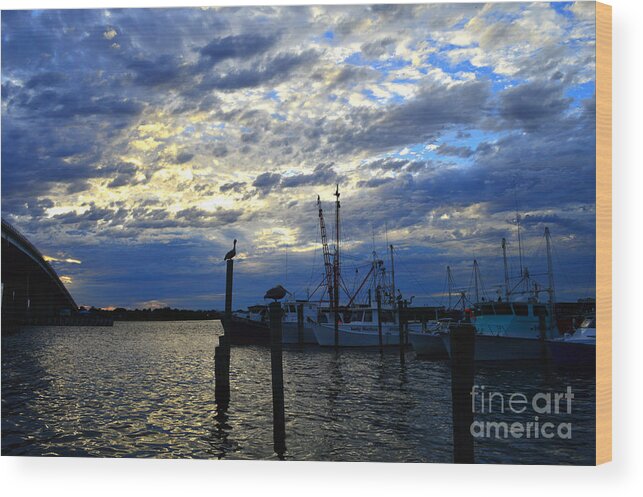 Photography Wood Print featuring the photograph Sunset on the Halifax by Julianne Felton