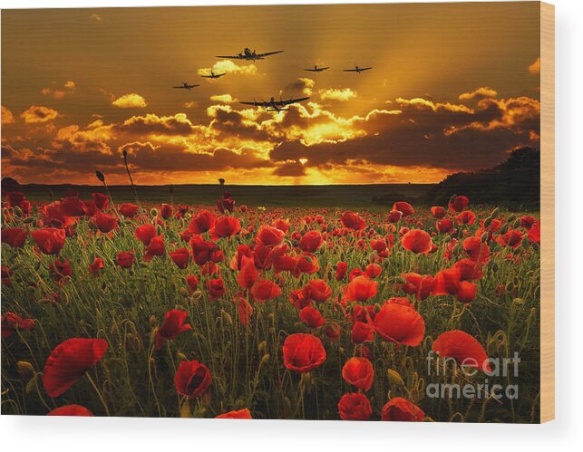 Avro Wood Print featuring the digital art Sunset Poppies The BBMF by Airpower Art
