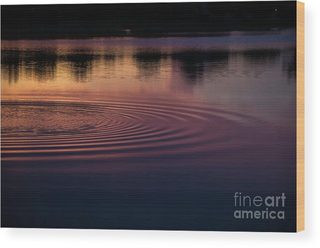 Water Wood Print featuring the photograph Sunset Ripples by Carol Lloyd