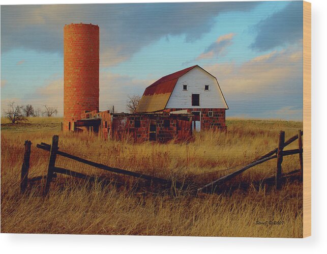 Barn Wood Print featuring the photograph Sunset Silo Barn by Stephen Johnson