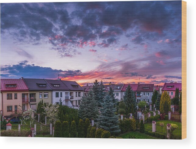 Backyard Wood Print featuring the photograph Sunset wind by Dmytro Korol