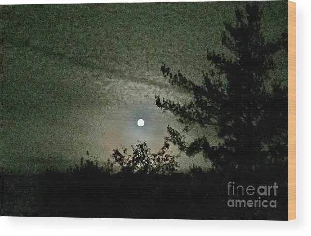 Super Moon Wood Print featuring the photograph Super Moon Colors by Barbara Plattenburg