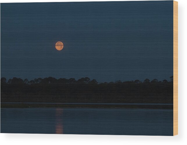 Moon Wood Print featuring the photograph Supermoon Dawn 2013 by Paul Rebmann