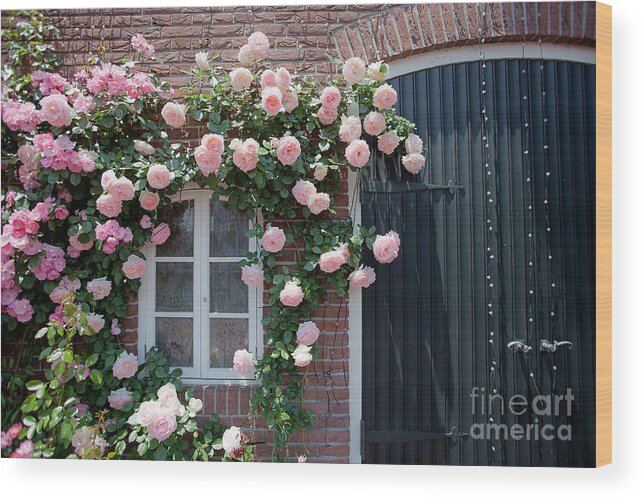 Rose-flower Wood Print featuring the photograph Surrounded by roses by Aiolos Greek Collections