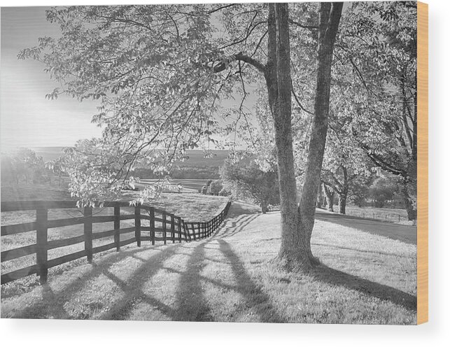 New Jersey Wood Print featuring the photograph Sussex County Sunset in Black and White by Eleanor Bortnick