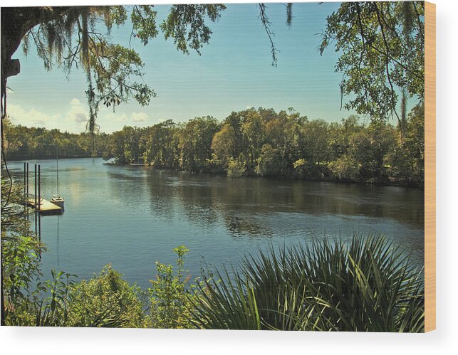 Hdr Color Photography Wood Print featuring the photograph Suwannee River Florida by Wayne Denmark