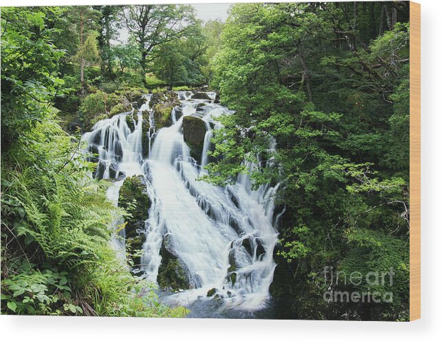 Falls Wood Print featuring the photograph Swallow Falls by Roger Lighterness