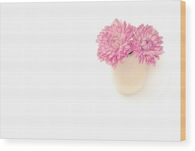 Aster Wood Print featuring the photograph Sweet Harmony by Evelina Kremsdorf