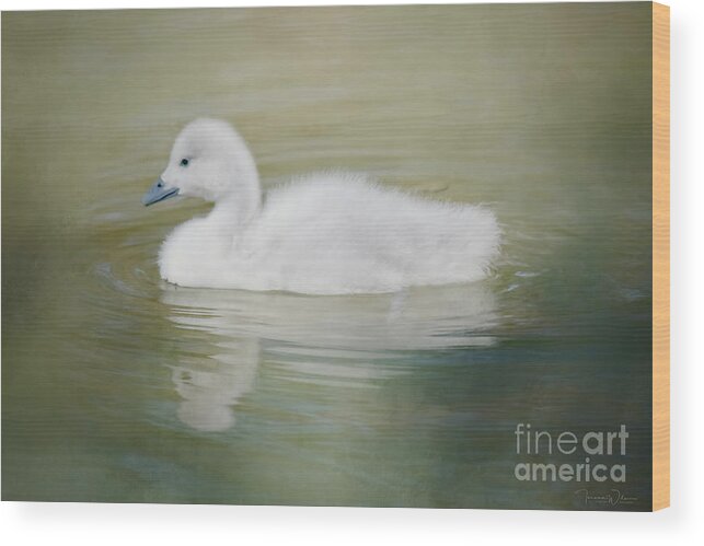 Adorable Wood Print featuring the photograph Sweet Little Gosling by Teresa Wilson