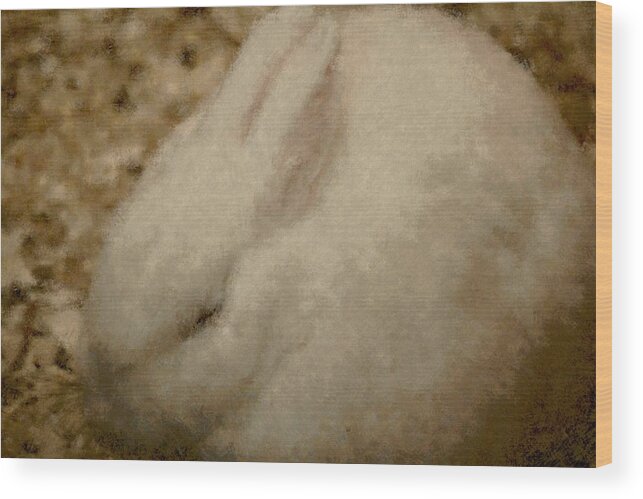 Easter Bunny Art Wood Print featuring the photograph Sweet Marshmallow by The Art Of Marilyn Ridoutt-Greene