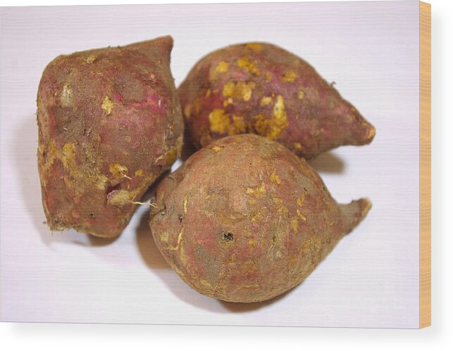 Ipomoea Batatas Wood Print featuring the photograph Sweet Potatoes by Scimat
