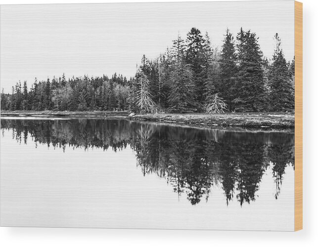 Pine Trees Wood Print featuring the photograph Symmetry by Holly Ross