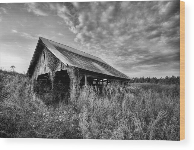 Alabama The Beautiful Wood Print featuring the photograph Take Me to the Country by JC Findley