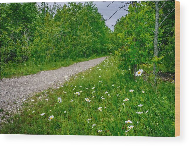 Secret Wood Print featuring the photograph Take Me to the Shore by Amanda Jones