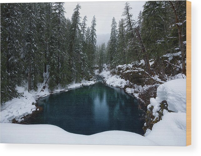 Mckenzie Wood Print featuring the photograph Tamolitch Pool by Andrew Kumler