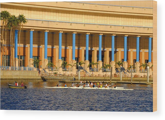 Tampa Florida Wood Print featuring the photograph Tampa rowing by David Lee Thompson