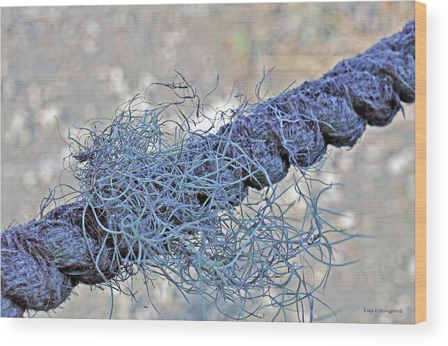 Manmade Wood Print featuring the photograph Tangled Fibers by Kay Lovingood