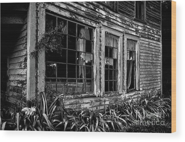 Windows Wood Print featuring the photograph Tattered by Randy Rogers