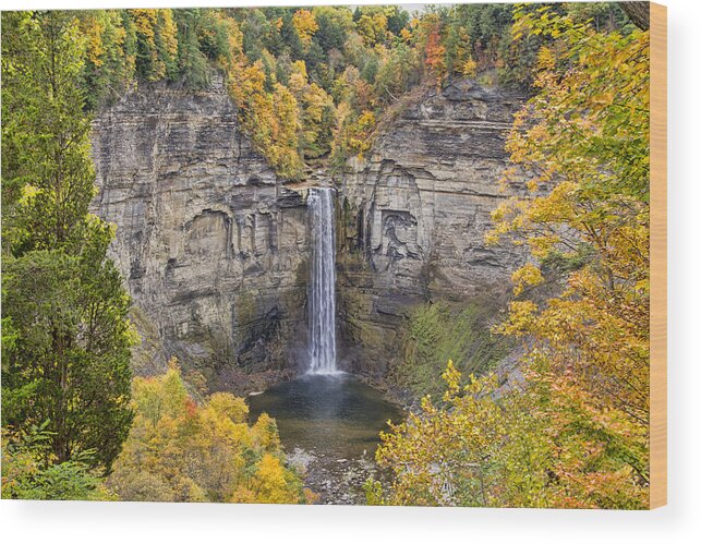 Waterfall Wood Print featuring the photograph Taughannock Falls by Cathy Kovarik